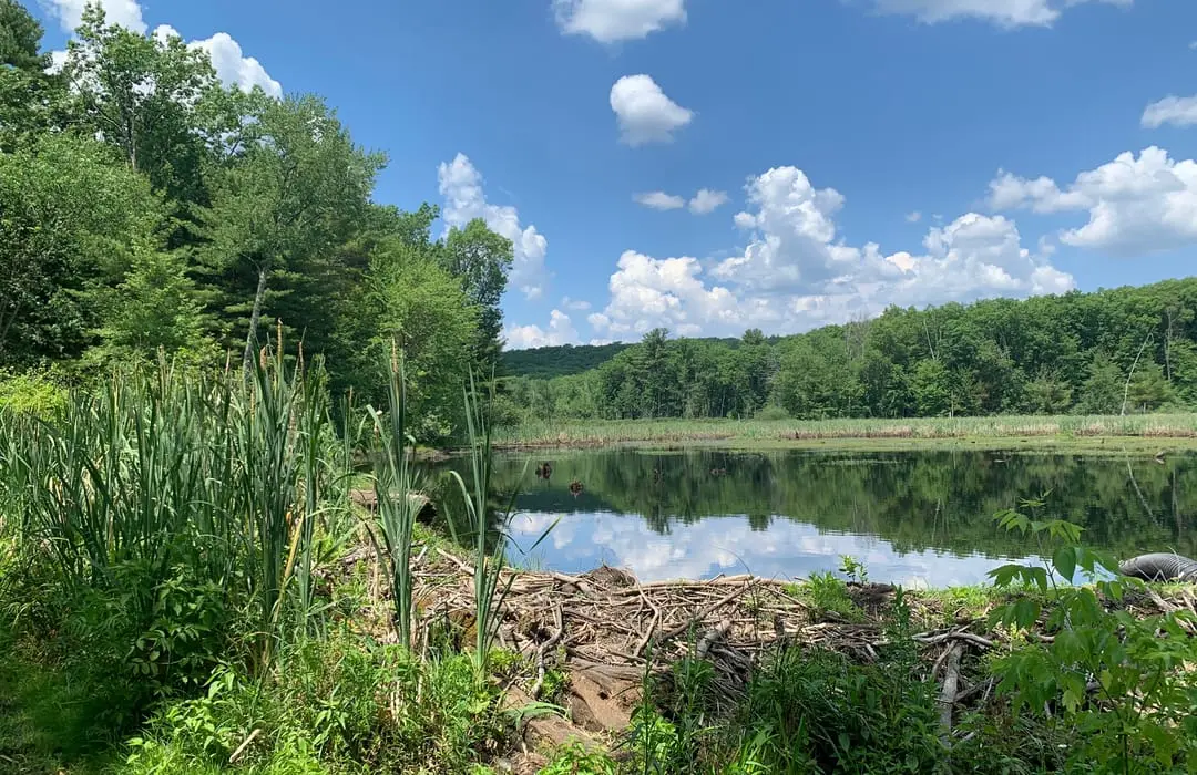 Dracut, MA
